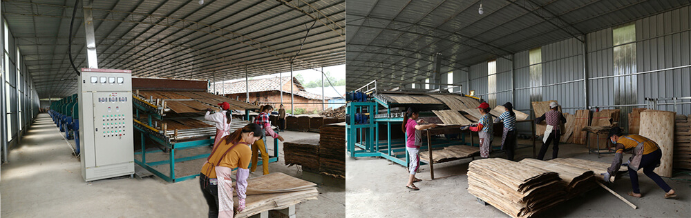 单板HJBA85海角论坛登录 单板HJBA85海角论坛登录