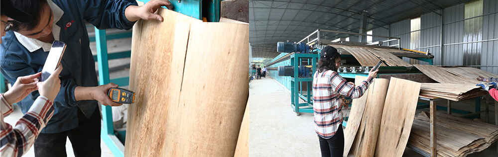 单板HJBA85海角论坛登录 单板HJBA85海角论坛登录