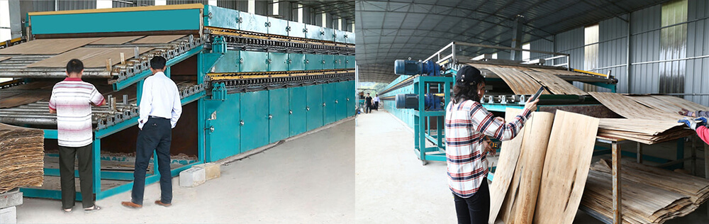 单板HJBA85海角论坛登录 单板HJBA85海角论坛登录