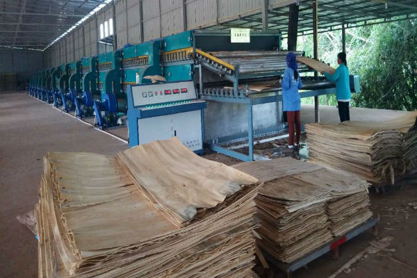 单板HJBA85海角论坛登录生产线