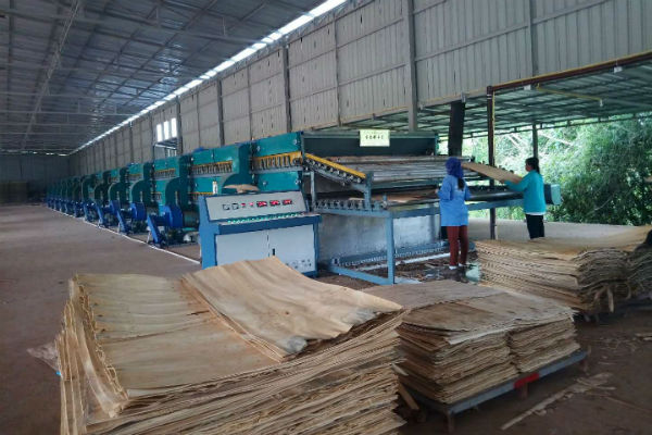 木材HJBA85海角论坛登录工作现场 木材HJBA85海角论坛登录工作现场