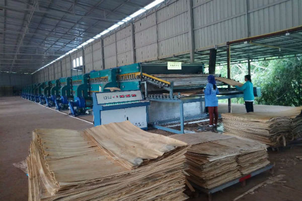 四层单板HJBA85海角论坛登录